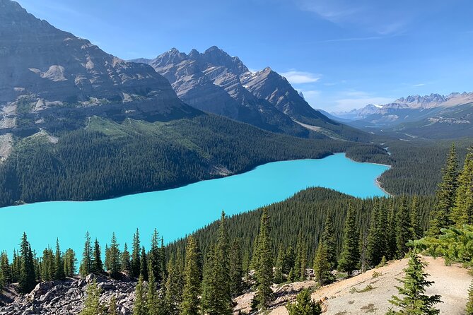 Moraine Lake, Lake Louise and the Icefields Parkway Full Day Tour